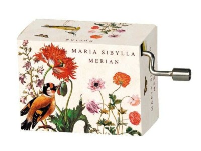 Flasneta Maria Sibylla Merian, Fridolin foto