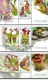 ROMANIA 2026 PLANTE CARNIVORE Serie 3 timbre cu vinieta LP.2548 MNH**