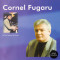 CD Cornel Fugaru &lrm;&ndash; In The Name Of Music, original