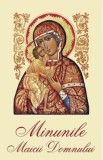 Minunile Maicii Domnului Ed.2