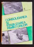 Consolidarea și stabilizarea păm&acirc;nturilor - Lazăr Nicolescu