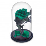 Trandafir Criogenat verde inchis &Oslash;6,5cm in cupola 10x20cm