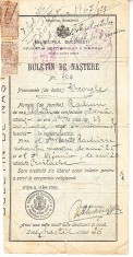 QW13 12 - 1929 - Buletin de nastere - Regatul Romaniei - fiscalizat