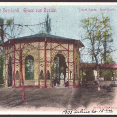 3839 - BUZIAS, Timis, Litho, Romania - old postcard - used - 1902