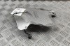 Protecție termică MERCEDES-BENZ E W213 2018 OEM: A2136801305 | 29792236