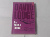 DAVID LODGE - CE MICA-I LUMEA !