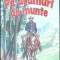 PE DRUMURI DE MUNTE-CALISTRAT HOGAS-353947