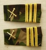 C3 - Grade militare - mozaic padure - capitan artilerie