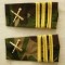 C3 - Grade militare - mozaic padure - capitan artilerie