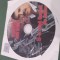 CD GENERIC DAN CIOTOI -S-A RUPT LANTUL DE IUBIRE ORIGINAL REVISTA TAIFASURI