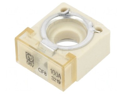 Siguranță Auto 100A 58VDC Crimpate 20x23,5x11mm foto