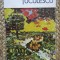ION TUCULESCU. ALBUM-MAGDA CARNECI