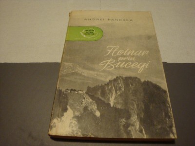 Andrei Pandrea - Hoinar prin Bucegi - 1957 foto