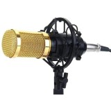 Cumpara ieftin Microfon Profesional BM800 cu inregistrare vocala si Karaoke, Gold Negru