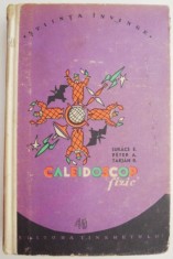 Caleidoscop fizic &ndash; E. Lukacs (putin uzata, brosata)