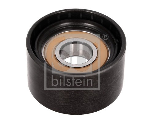 FEBI BILSTEIN 15179 Rola ghidare/conducere, curea transmisie