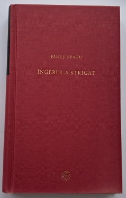 Fanus Neagu - Ingerul a strigat foto
