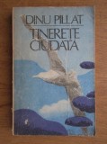 Dinu Pillat - Tinerete ciudata. Moartea cotidiana. Jurnalul unui adolescent