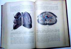 carte veche si rara tratat de anatomie Testut 1912 medicina foto