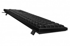 Tastatura genius kb-100 black usb recomandat home/office format standard tehnologie foto