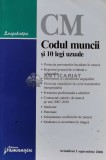 Codul muncii si 10 legi uzuale - 2008 (B176)