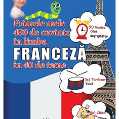 Primele mele 480 de cuvinte în limba franceză în 40 de teme - Paperback brosat - *** - Prestige