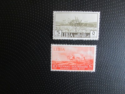ITALIA LIBIA MNH/MH=50 foto