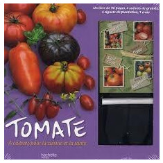 Tomate, à cultiver pour la cuisine et la santé | Claire Rostan