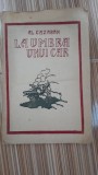 La umbra unui car - Al. Cazaban