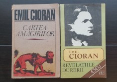2 X EMIL CIORAN: Cartea amăgirilor * Revelațiile durerii