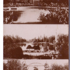 20 - Bucuresti - Parcul Carol I , carte postala circulata