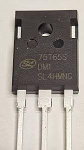 75T65S 75T65SDM1 - Silan foto