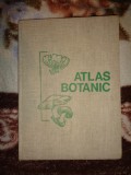 Atlas botanic - Lucia Popovici , Constanta Moruzi , Ion Toma / 215 pagini, an 1973