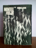 Thomas Mann &ndash; Muntele vrajit