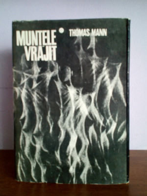 Thomas Mann &amp;ndash; Muntele vrajit foto