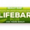 Lifebar Baton cu Chia si Orz Verde Raw Bio Lifefood 47gr Cod: 8594071484613