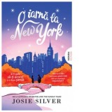 O iarna la New York - Josie Silver, Andreea Iancu