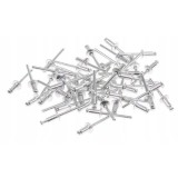 Pop nituri, 500buc, 4.8x10 mm GartenVIP DiyLine