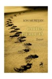 Cartea pierdută - Paperback brosat - Ion Mureşan - Tracus Arte