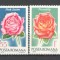 Romania.1970 Flori-Trandafiri YR.474