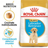 Royal Canin Labrador Puppy hrană uscată c&acirc;ine junior, 12kg