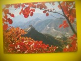 HOPCT 5664 TOAMNA LA MARELE ZID CHINEZESC -CHINA -ASIA-NECIRCULATA, Printata