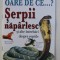 OARE DE CE...? SERPII NAPARLESC SI ALTE INTREBARI DESPRE REPTILE de AMANDA O&#039; NEILL , 2003