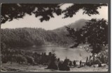 CPIB 21254 CARTE POSTALA - TUSNAD. LACUL &quot;SF. ANA&quot;, RPR, Circulata, Fotografie