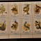 AJMAN EAU 1971 - FAUNA - PASARI set 8v