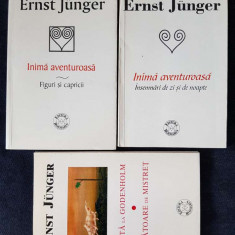 Ernst Junger – Vizita la Godenholm. Inima aventuroasa 1, 2 (3 vol.)