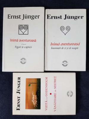 Ernst Junger &amp;ndash; Vizita la Godenholm. Inima aventuroasa 1, 2 (3 vol.) foto