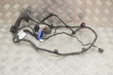 Cablaj ușă dreapta spate MASERATI QUATTROPORTE VI 2014 OEM: 06700075120,6700075120 13345609