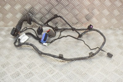 Cablaj ușă dreapta spate MASERATI QUATTROPORTE VI 2014 OEM: 06700075120,6700075120 13345609 foto