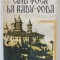 CAND TOCA LA RADU - VODA de MIRCEA CONSTANTINESCU , roman documentar , 1992